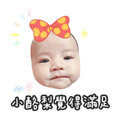 小酪梨baby