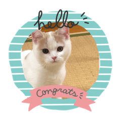 himawari_20220501184657