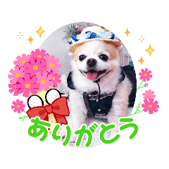 Hana_20220501185304