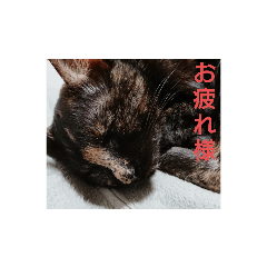 mitsuki_20220501182617