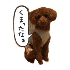 chocolat2