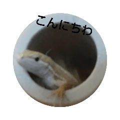 kaito_20220501194340