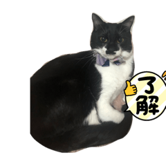 misa_20220501192610