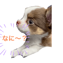 SUZU_20220502013531
