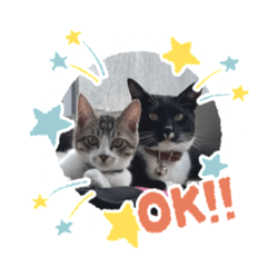 nozomi_20220501194448