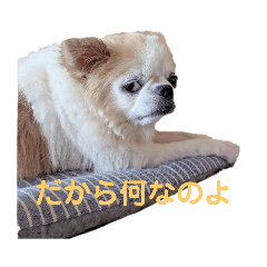 Ruby_20220501194409