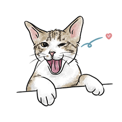 tabby cat's reunion sticker