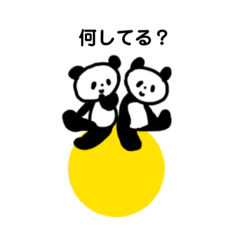 Panda twins ask you what you are doing
