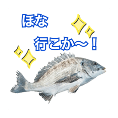 チヌ釣り師専用スタンプ関西弁