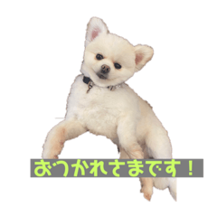TonTon_20220501204543