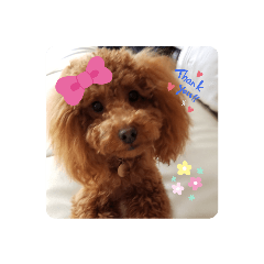 Ruby_20220501210408