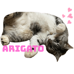 himawari_20220501222756