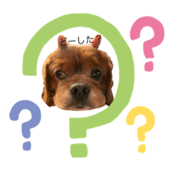 tomomi_20220501233649