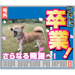 takuya_20220502084113