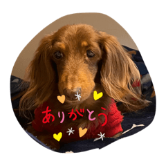 MIKI_20220502002231