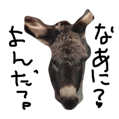 Nishi original caractr