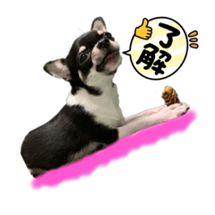 saori_20220502031922