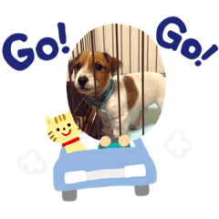 jack_20220502125157