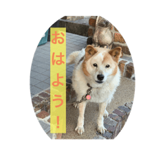 AKARI_20220502100722