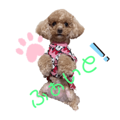 saori_20220502021229