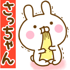Rabbit Usahina love sachan 2