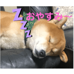 Cherry_20220502060013