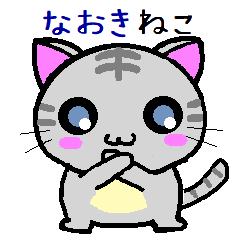 Naoki cat