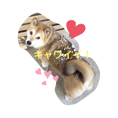 miki_20220502160455