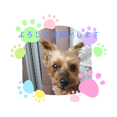 AKIKO_20220502161809