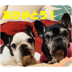 Aoi_20220502160128