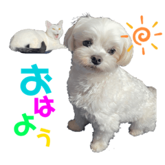 RISA_20220502173402