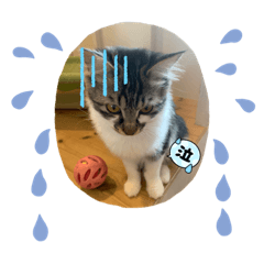 matsu_20220502202650