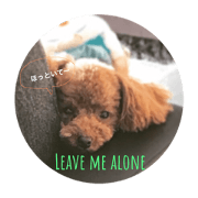 poodle stamp English ver