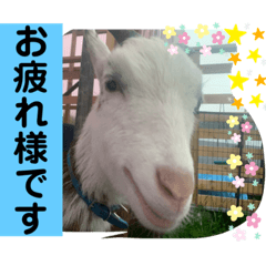 sayuri_20220502191320