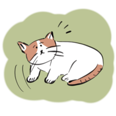 useful phrases for daily life, cat