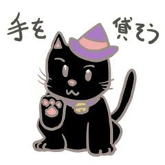 Witch's black cat