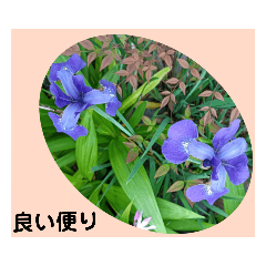 Suzu_20220502212742