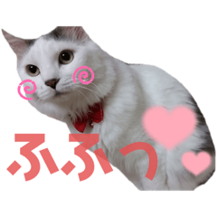 himawari_20220502220358