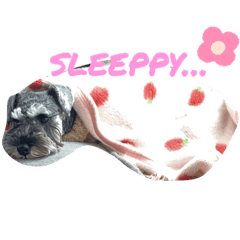 suzu_20220502220346