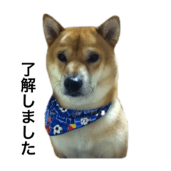 satoshi_20220502220742