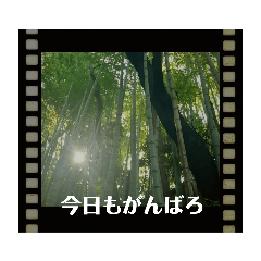 kaja-omoide