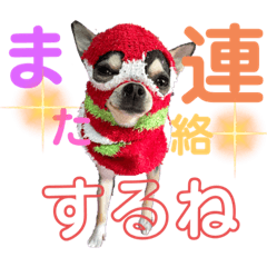 saori_20220503060423