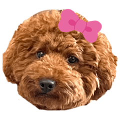 Moachiのスタンプ