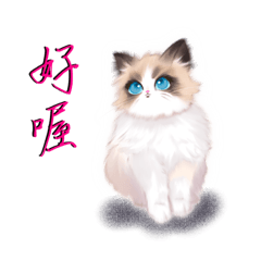 毛孩們陪你1.0