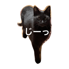 hana_20220503002524