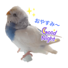 saori_20220503003555