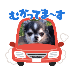 matsu_20220503121659