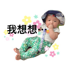 鄭家三兄妹表情包