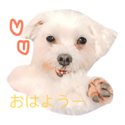 Kumako life.