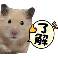 yamada_20220503145226